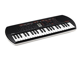 Strumenti e tastiere musicali