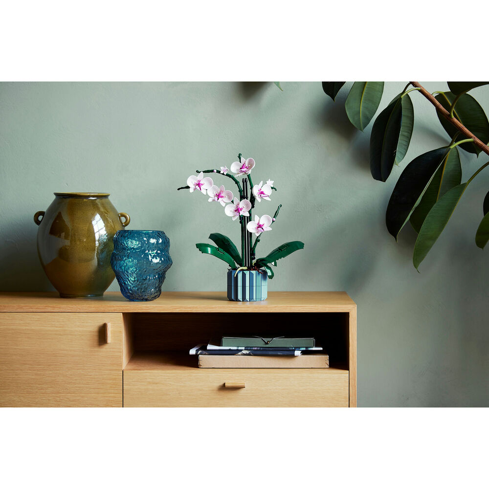 Orchidea, image number 5
