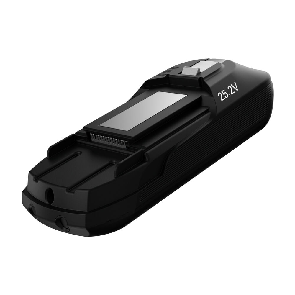 ZR009701, image number 0