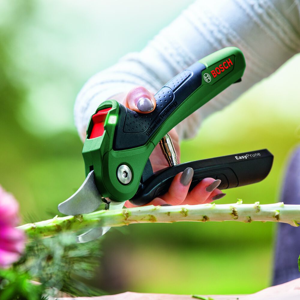 Easy Prune, image number 21