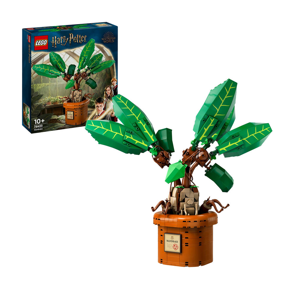 Mandragola, image number 1