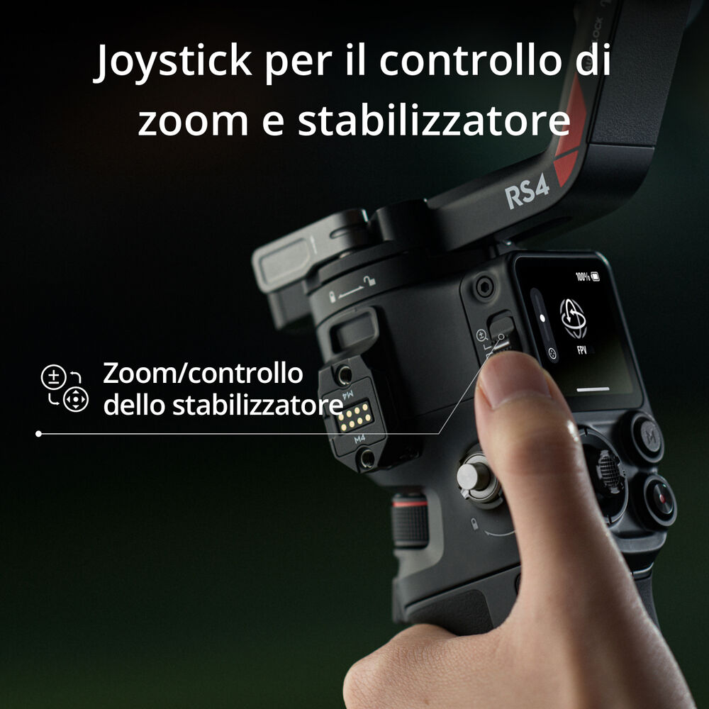 RS 4, image number 3