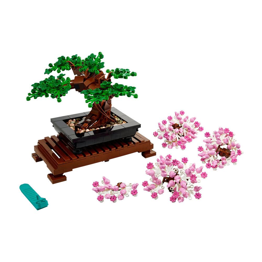 Albero Bonsai, image number 0