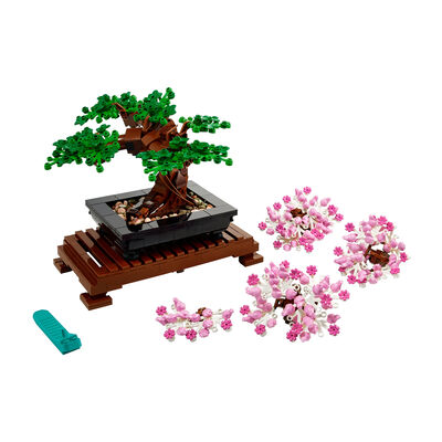 Albero Bonsai