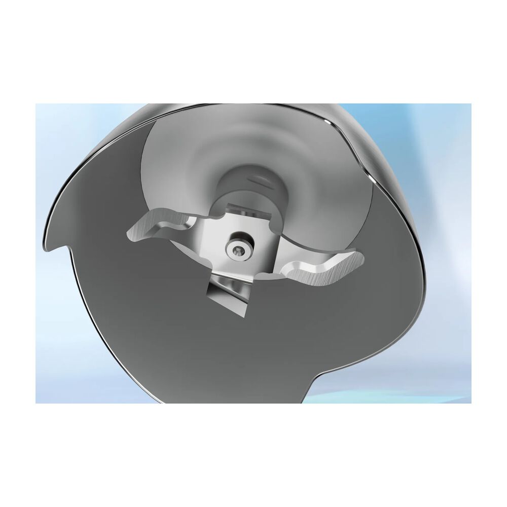 MSM4B621, image number 5