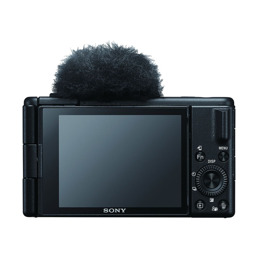 ZV1M2BDI, image number 9