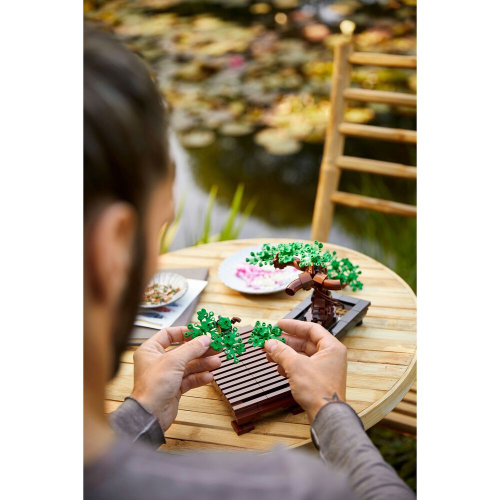 Albero Bonsai, image number 6