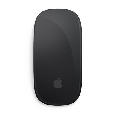 MAGIC MOUSE INT