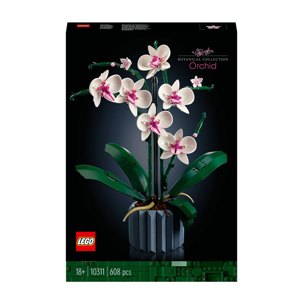 Orchidea, image number 1