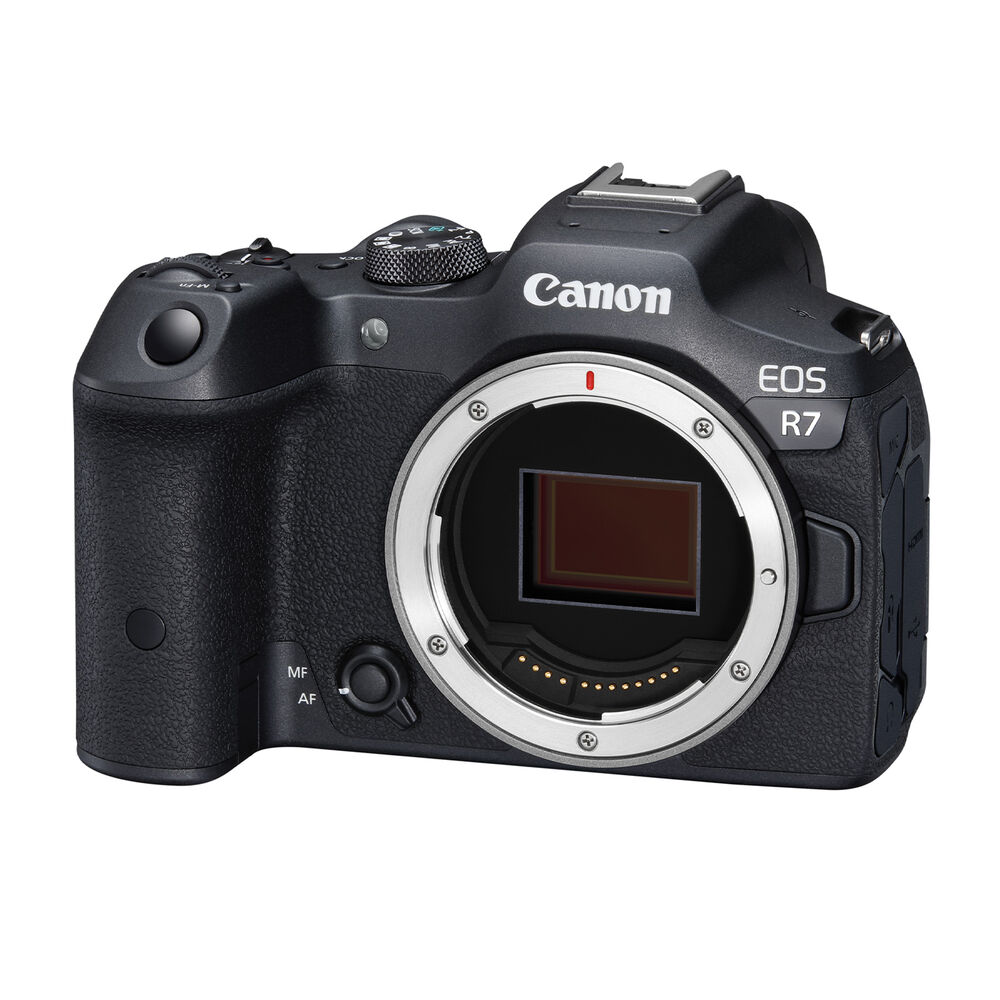 FOT. MIRRORLESS CANON EOS R7 + EF-EOS R Adapter, image number 3