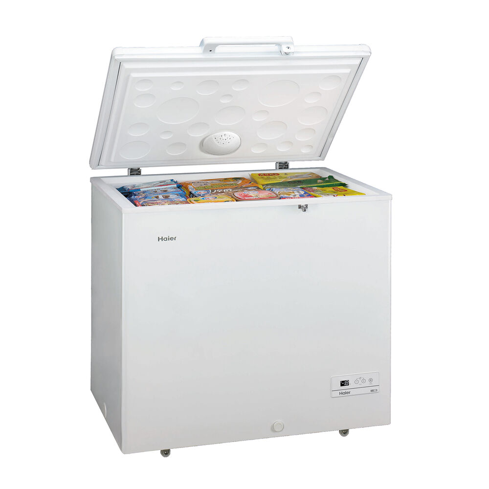 Congelatore pozzo HCE259R, 259 l, classe F, image number 1