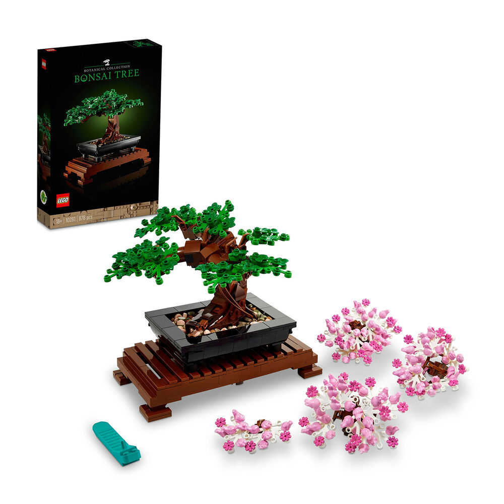 Albero Bonsai, image number 1