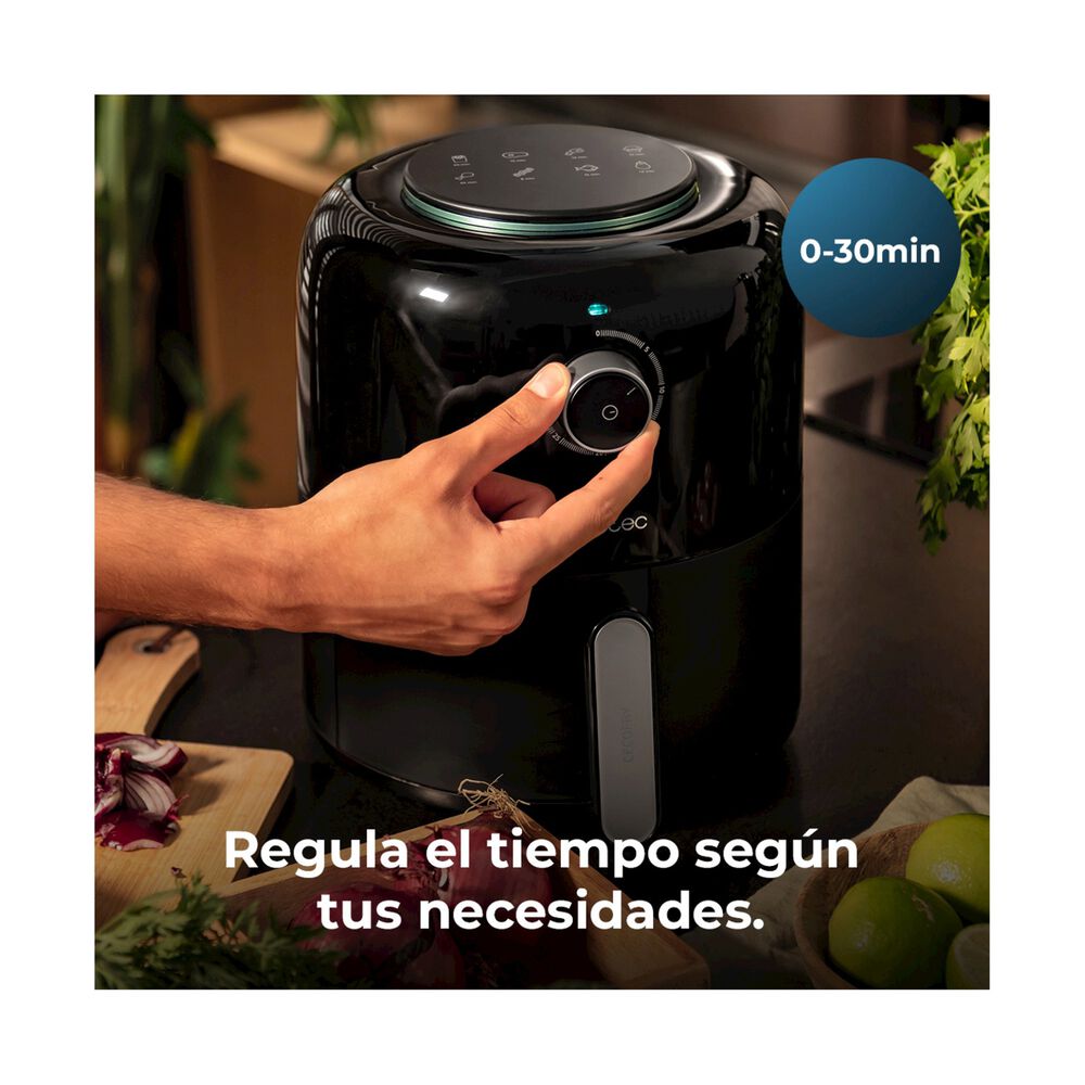 Cecofry Pixel 2500, image number 10