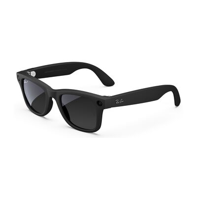 Wayfarer large