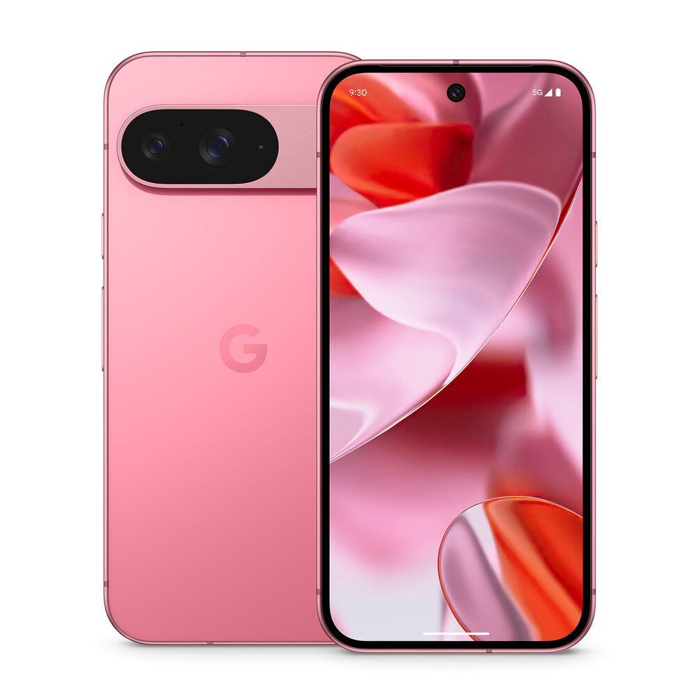 Pixel 9 256GB, image number 0