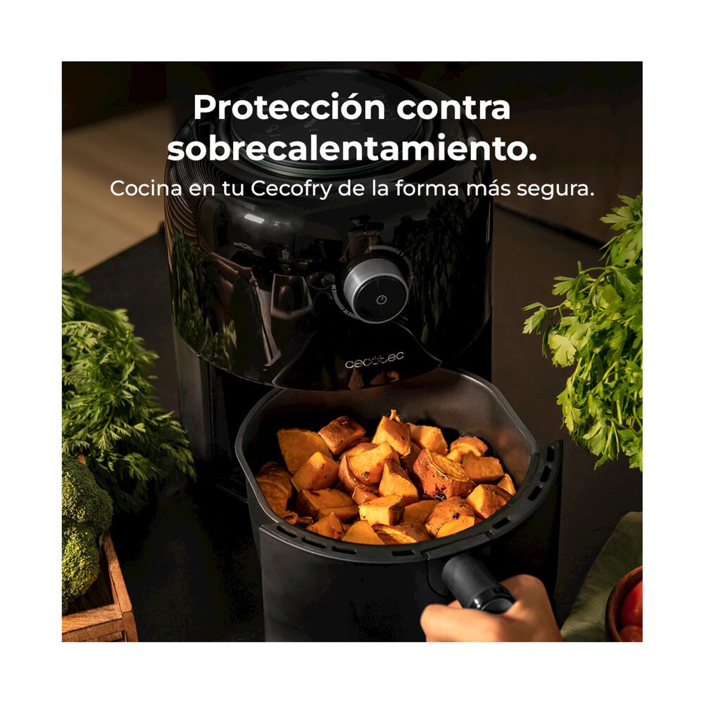 Cecofry Pixel 2500, image number 11