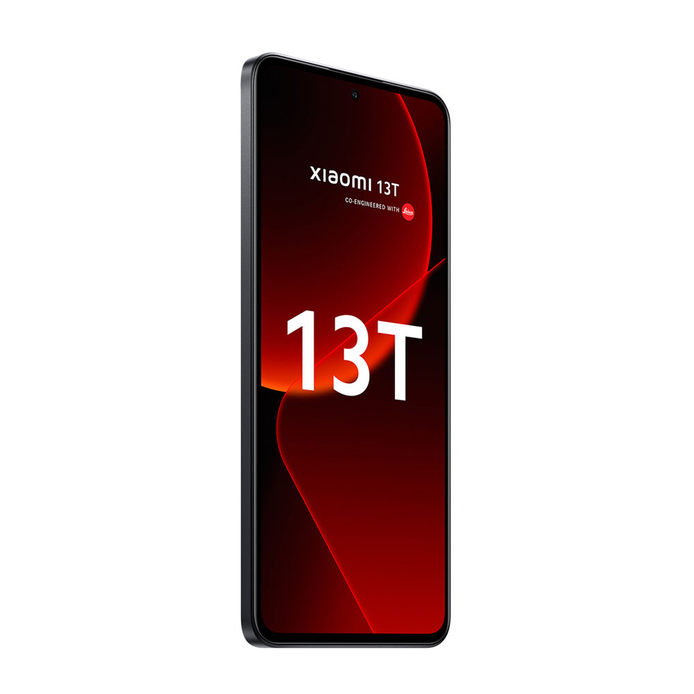 13T, image number 5