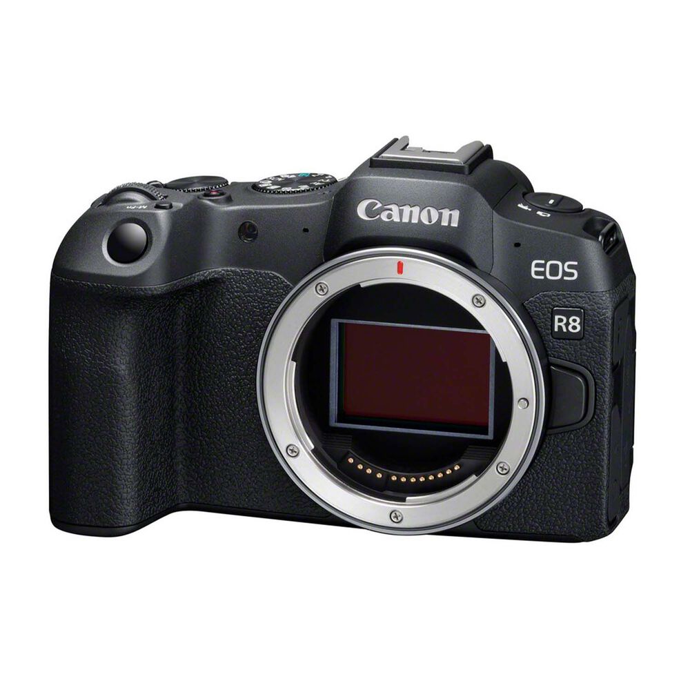 EOS R8 24.50, image number 6
