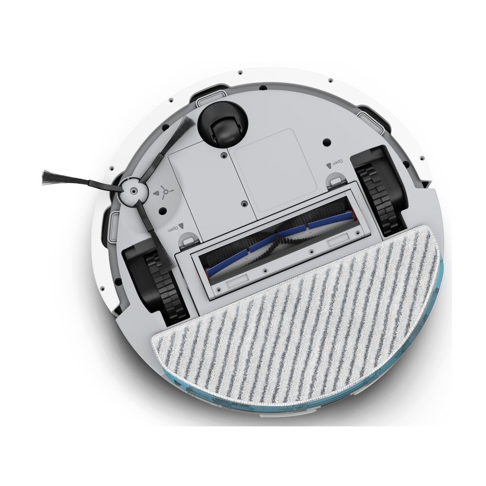 RR8777, image number 2