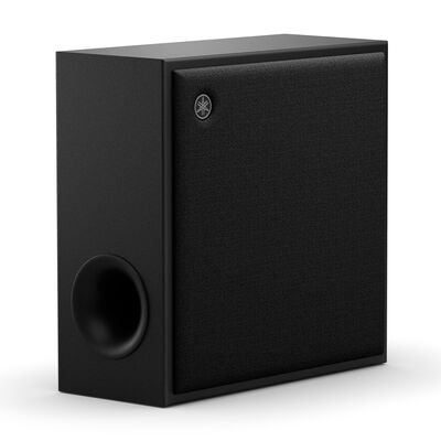 SW-X100ABL