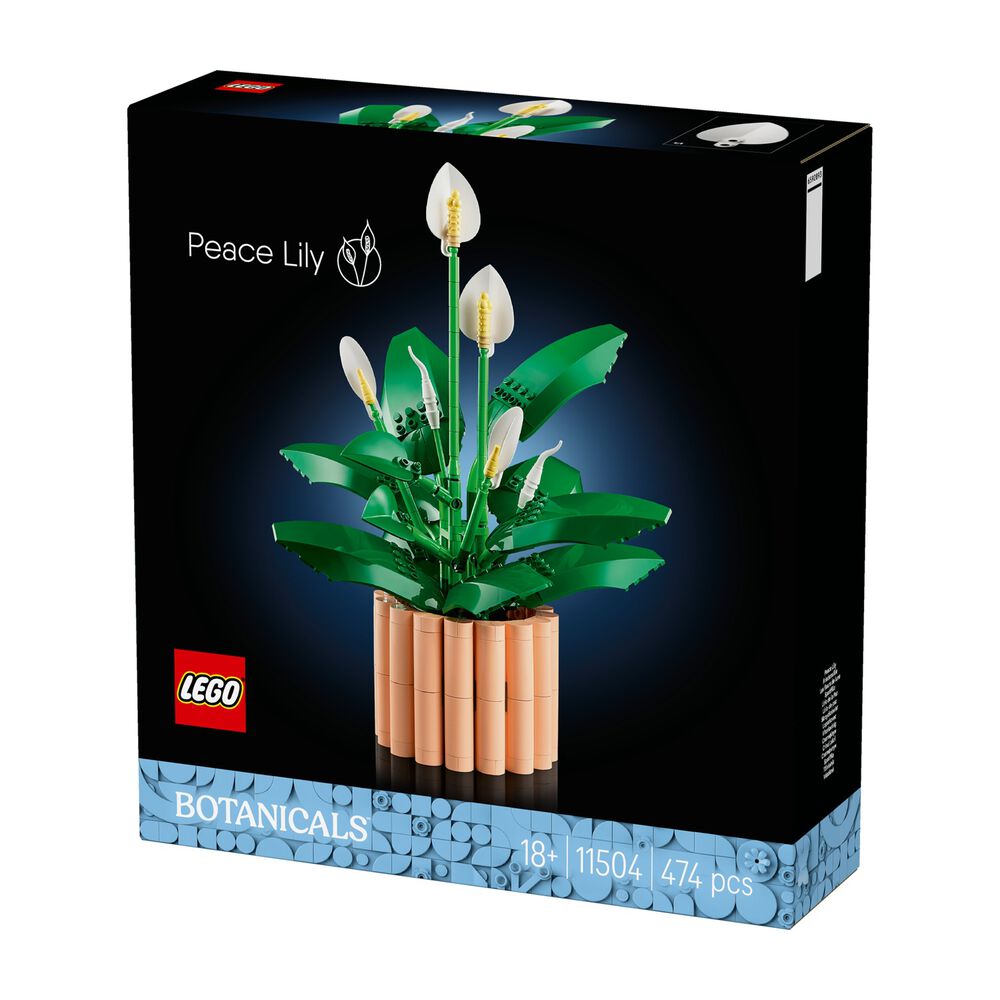 Spatifillo, image number 11