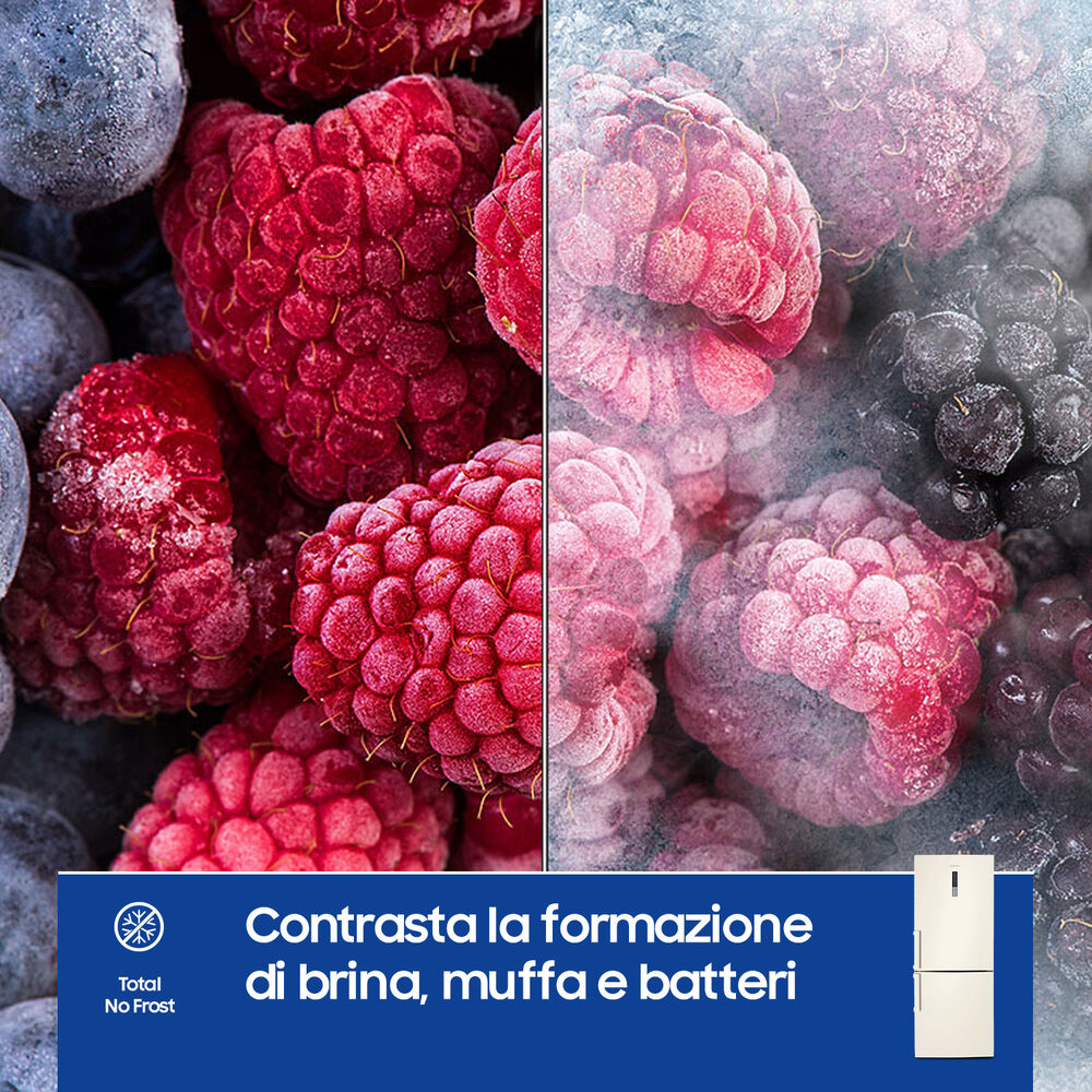 RL4353LBA EF FRIGORIFERO COMBINATO, image number 4