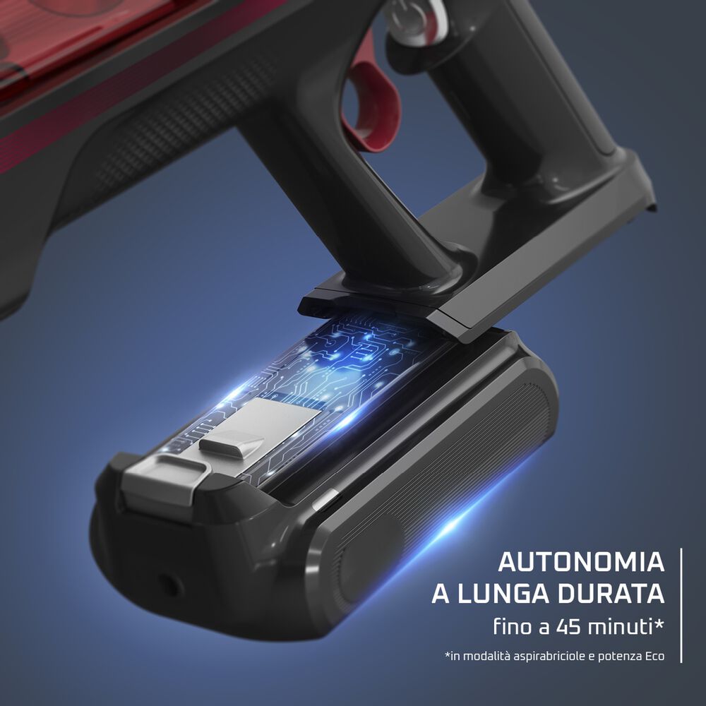 RH2087, image number 3