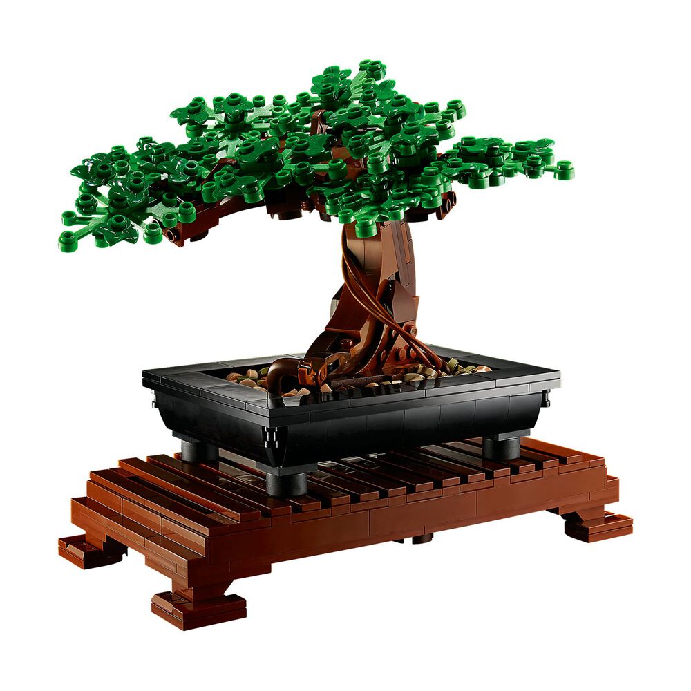 Albero Bonsai, image number 1
