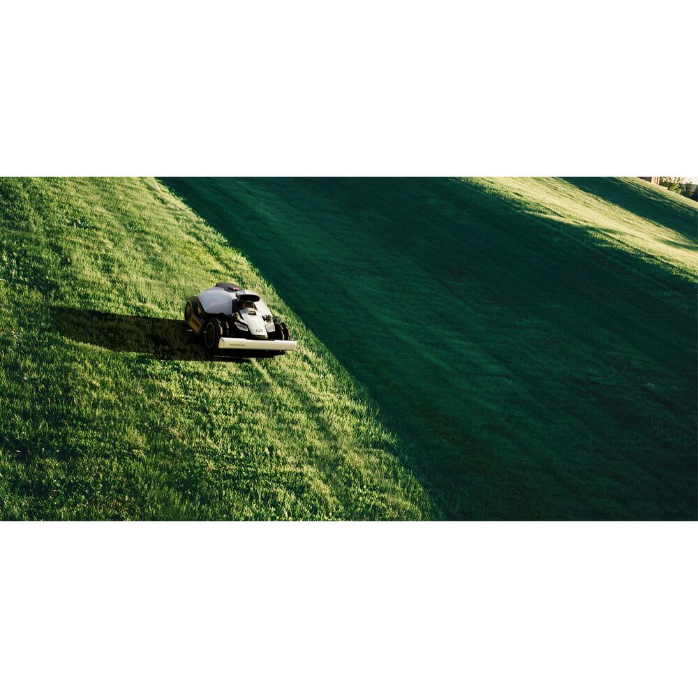 Luba Mini 2 AWD 1000, image number 3