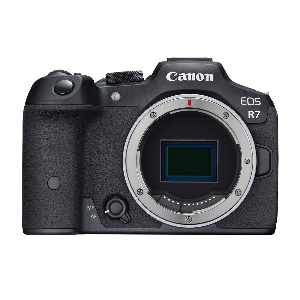 FOT. MIRRORLESS CANON EOS R7 + EF-EOS R Adapter, image number 6