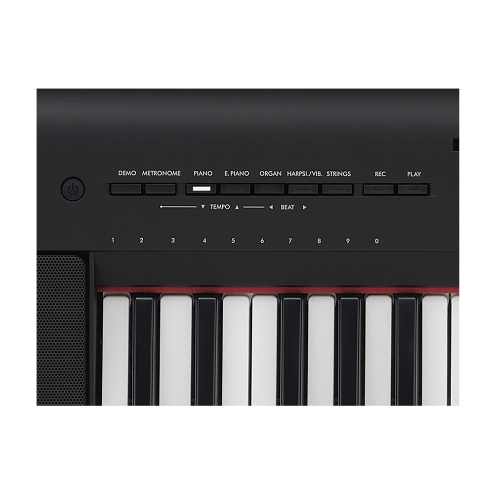 NP-15, image number 4