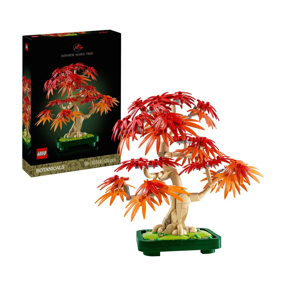 Bonsai di acero rosso, image number 1