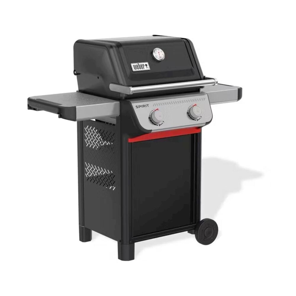 Spirit E-210, image number 2