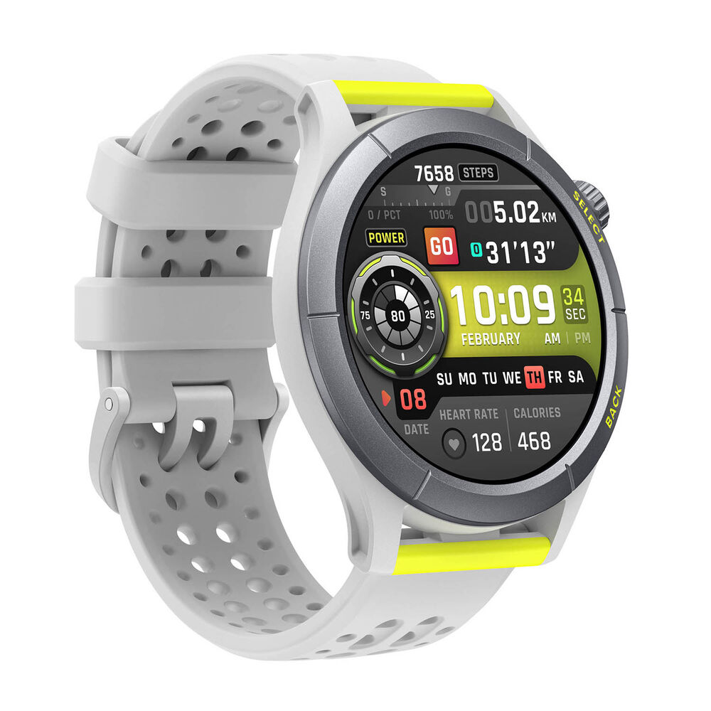 Cheetah, image number 2