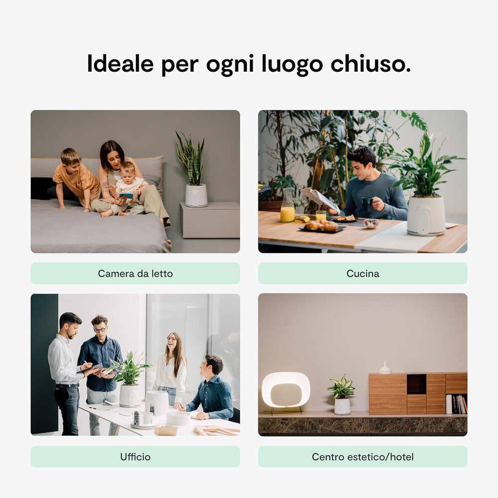 Natede Smart, image number 4