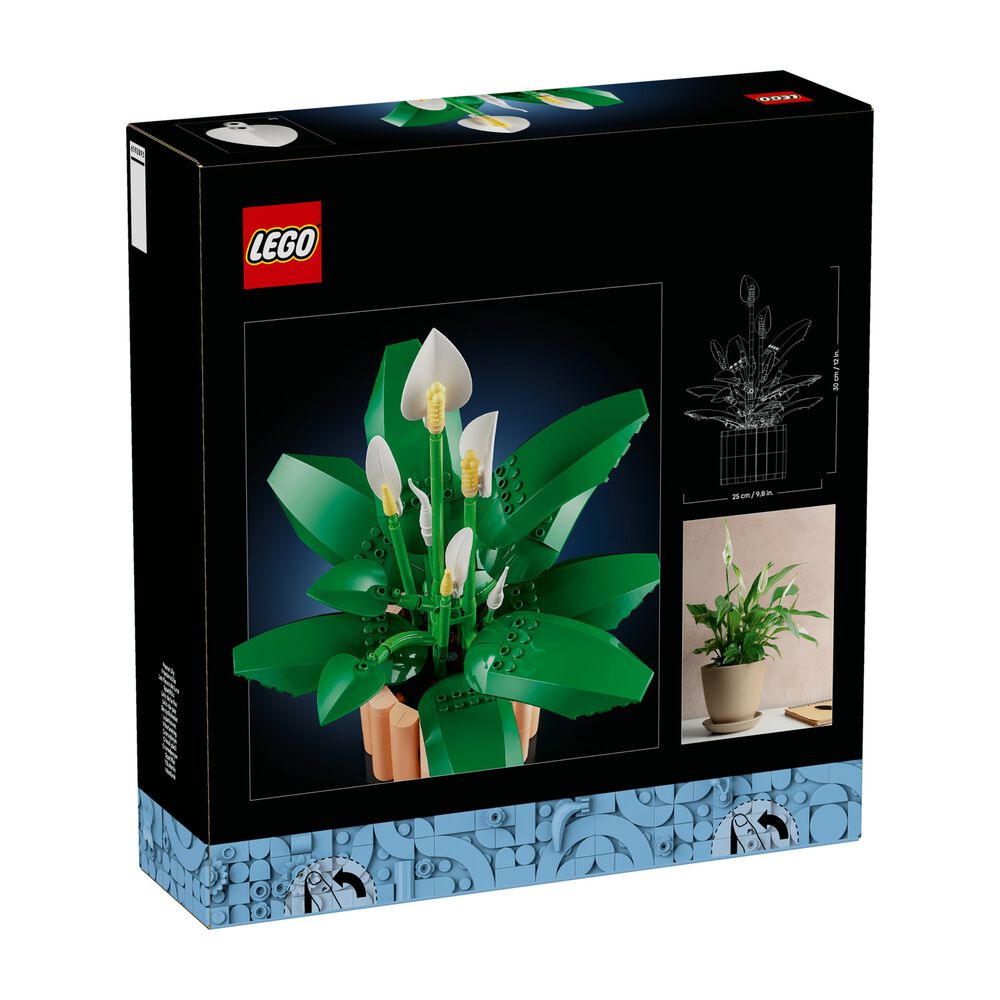 Spatifillo, image number 12