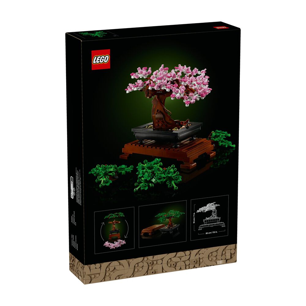 Albero Bonsai, image number 5