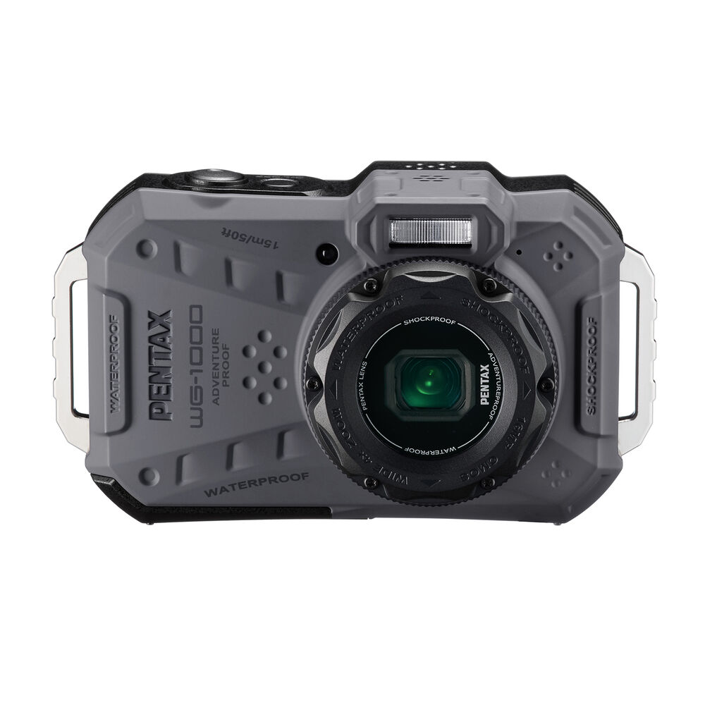 WG1000, image number 2