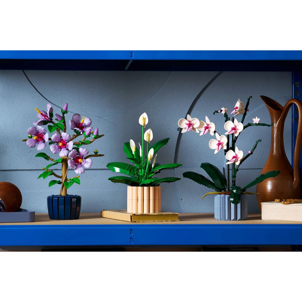 Spatifillo, image number 5