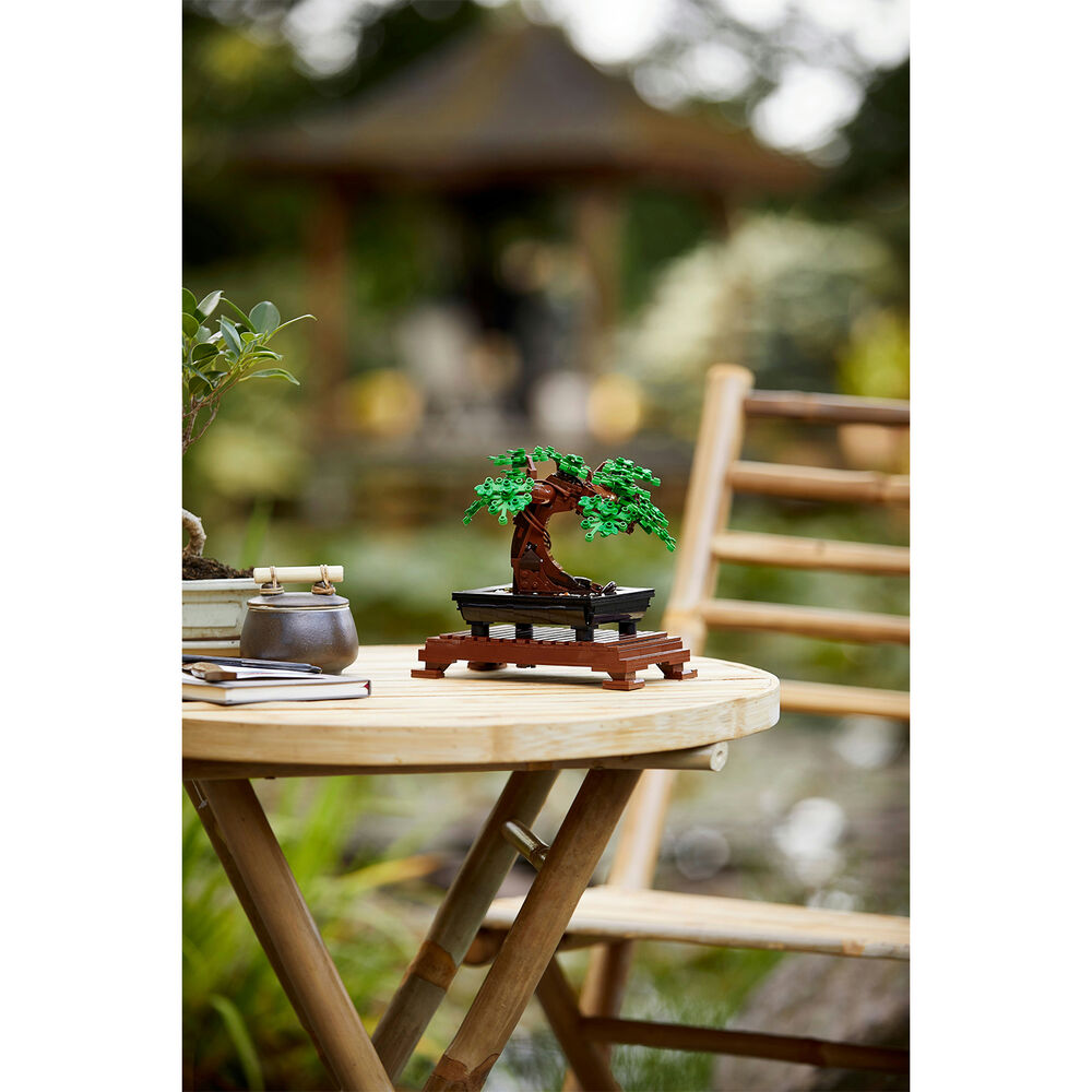 Albero Bonsai, image number 4