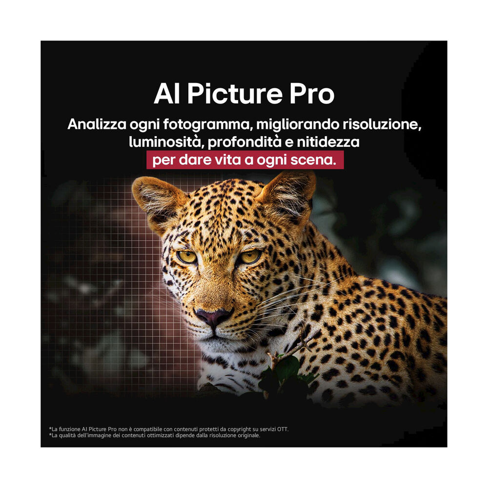 OLED evo G5S OLED55G56LS, image number 3