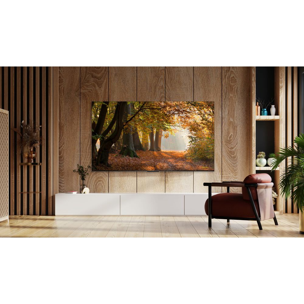 55P655, image number 3