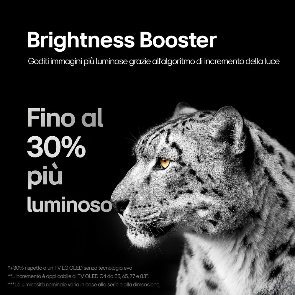 OLED evo C4 OLED55C44LA, image number 15