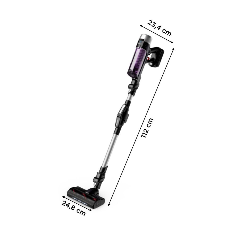 RH2037, image number 6