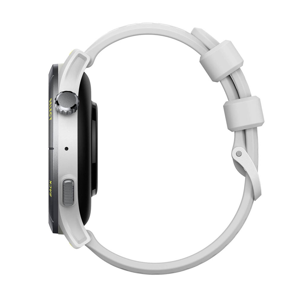 Cheetah, image number 3