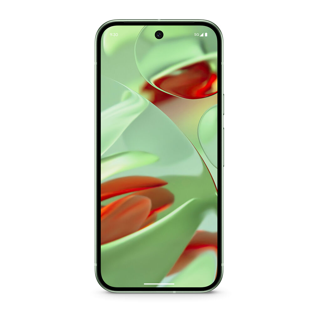 Pixel 9 256GB, image number 1