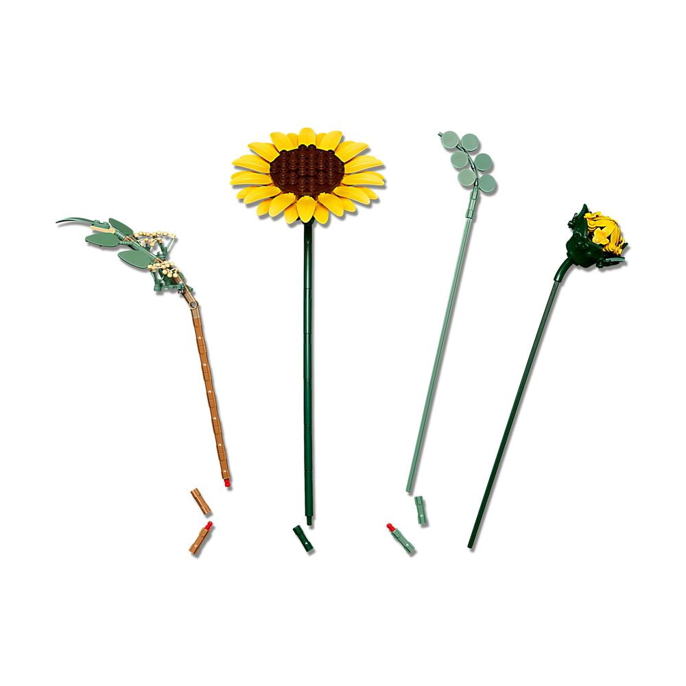 Bouquet di girasoli, image number 5
