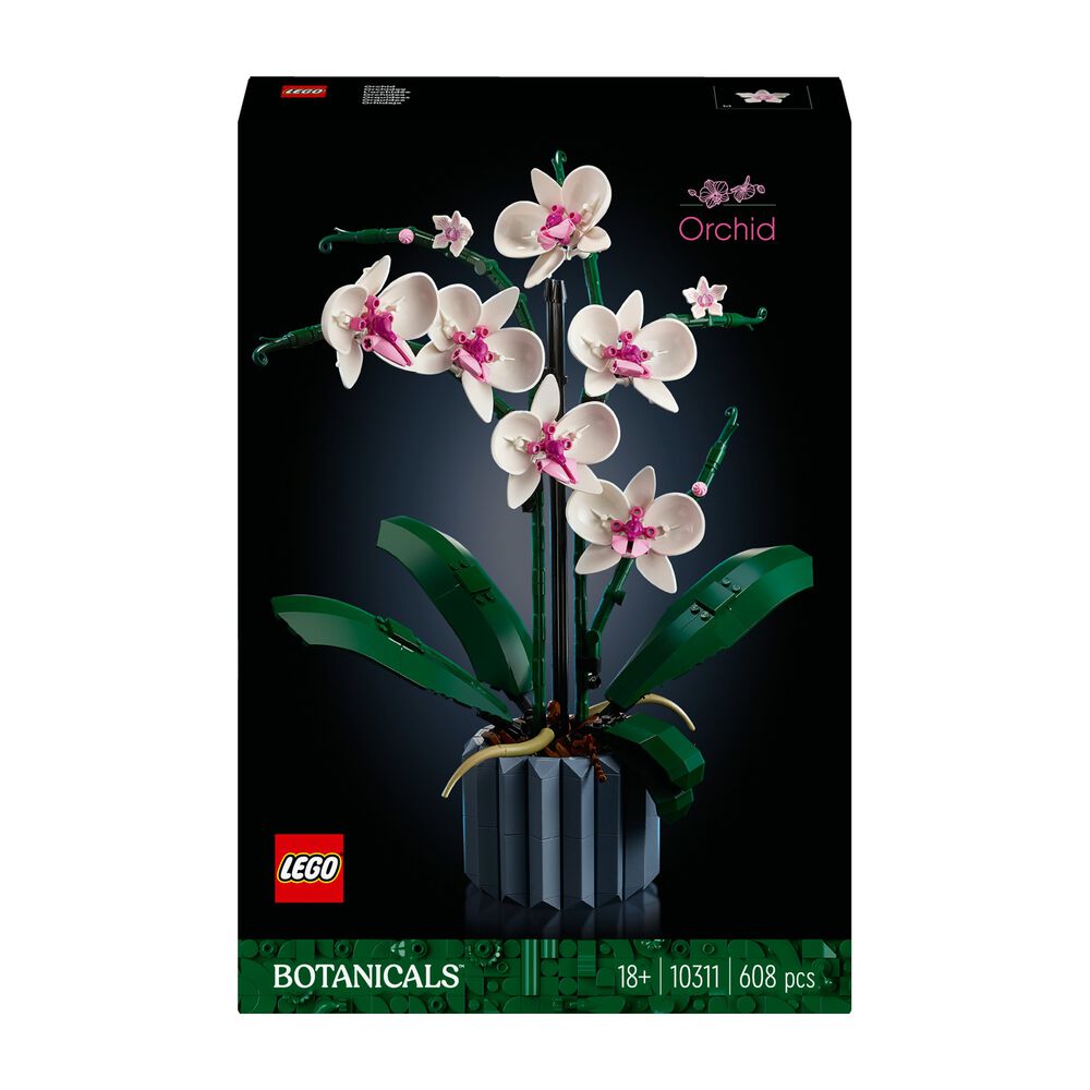 Orchidea, image number 4