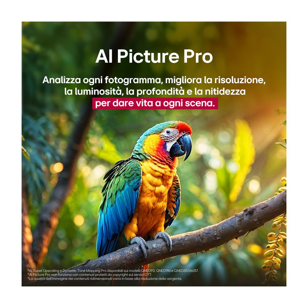 QNED evo AI  55QNED93A6A, image number 17