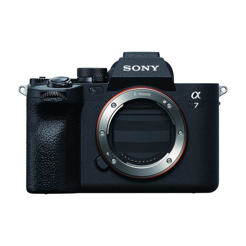 ALPHA 7 IV +28-70mm, image number 1